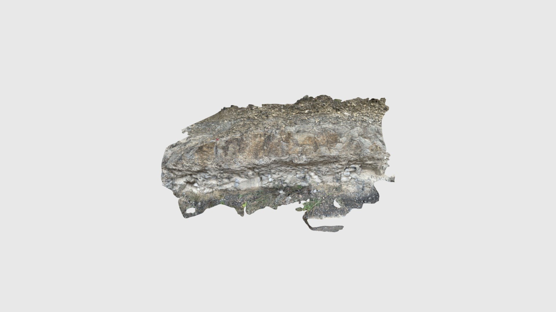 St Maria Buil Nummulite shoal - Download Free 3D model by Safaridb