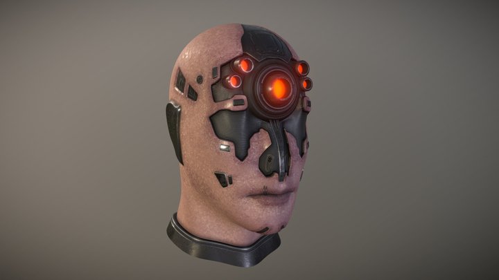 Cyborg Head 3D Model
