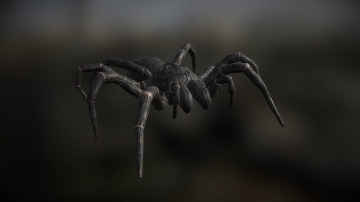 Creepy Spider 3D Model