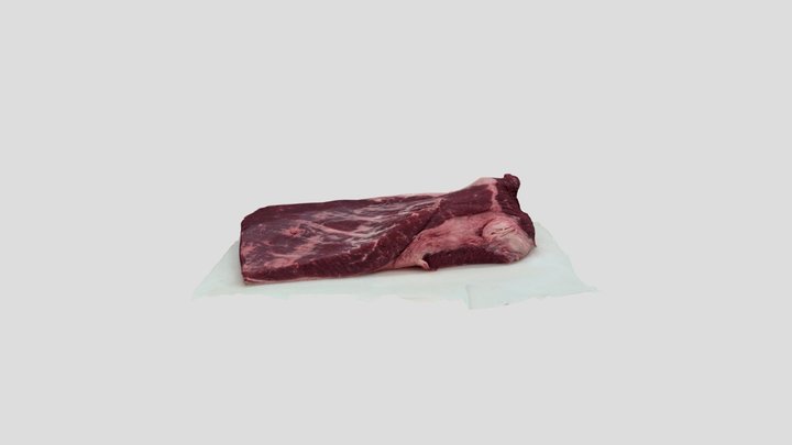 Blake_20241220_001_brisket 3D Model