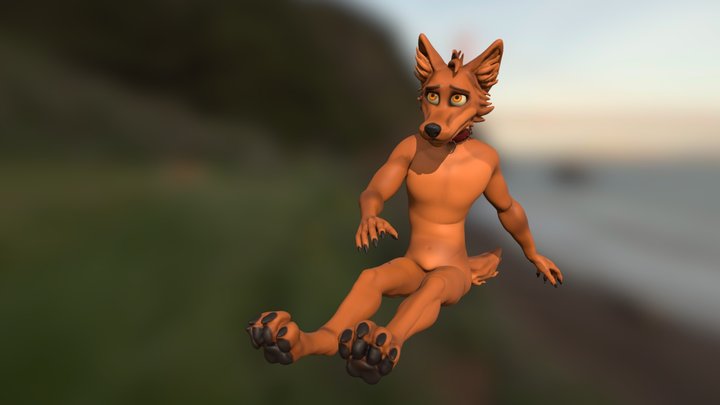 sit wolf 3D Model