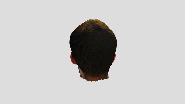 head 3D Model