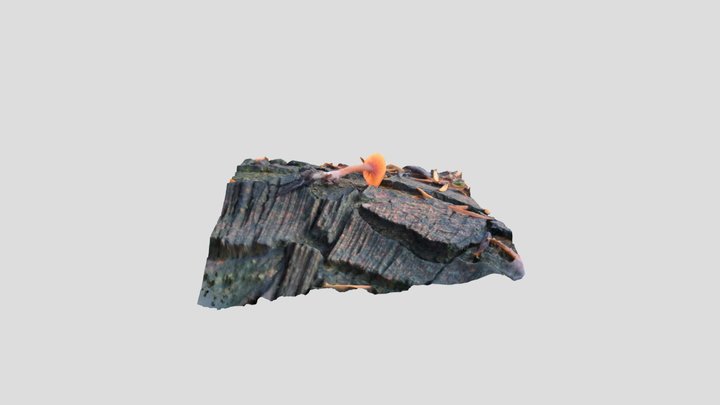 Common Laccaria – Modello 3D gratuito STL