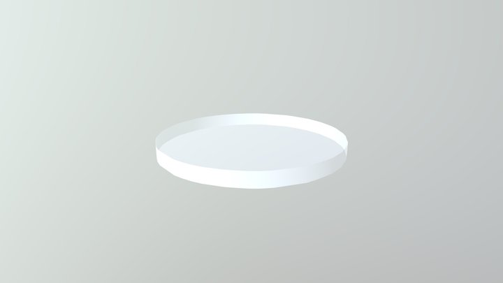 Standard Chip Bottom 3D Model