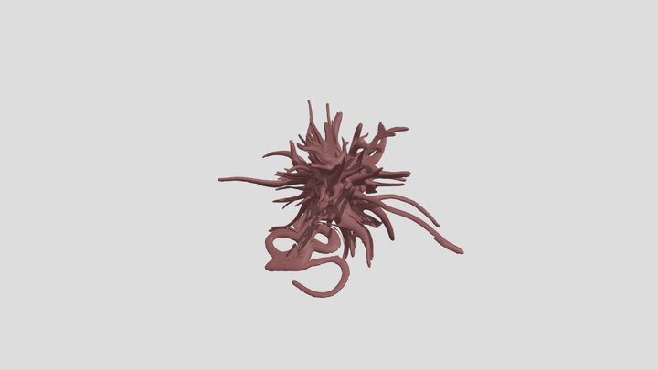 Virus 3D Model