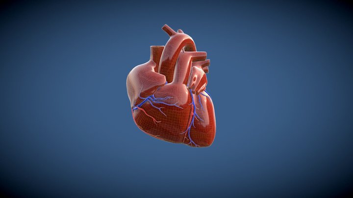 Heart Pump Test 3D Model