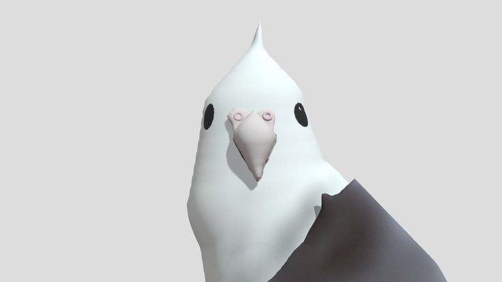 Sus bird 3D Model