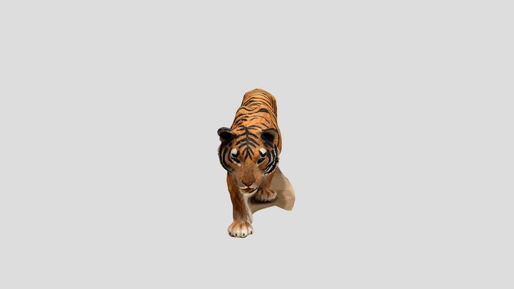 Tiger Toy 3D Model