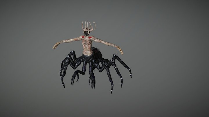 Spider Queen 3D Model