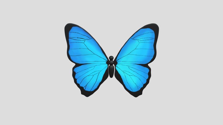 3D Sketchbook 9- Butterfly 3D Model