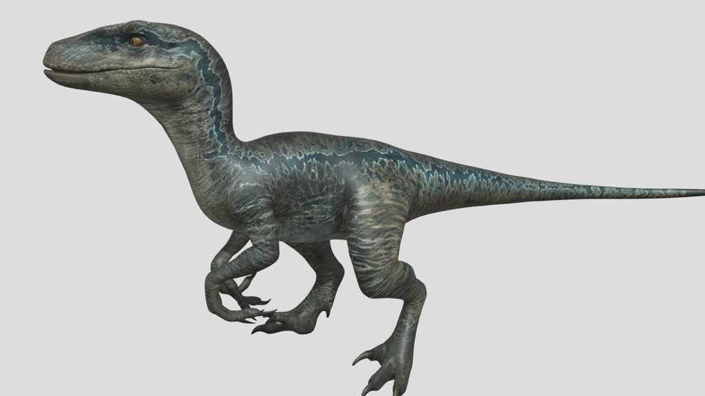 JW Alive Blue