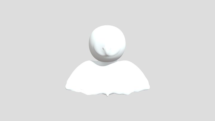 My model 3D Model