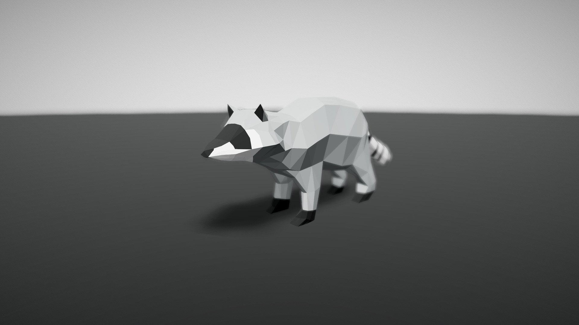 Kit Procyon Raccoon 3D Model