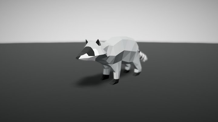 Kit Procyon Raccoon 3D Model 3D Model