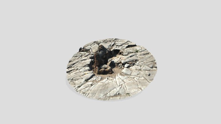 Fossil_116 3D Model