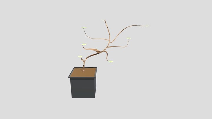 plant 3D Model