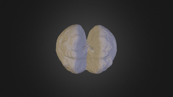 Your Mesh 3D Model