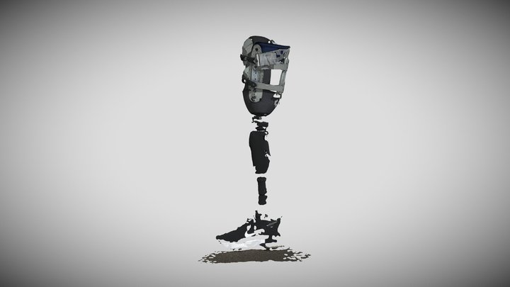 Leg1