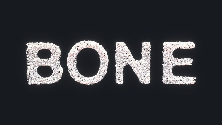 Sponge Bone Text 3D Model