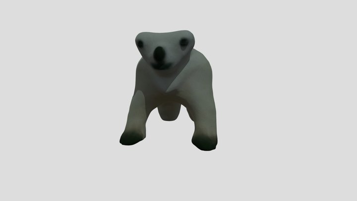 medved 2026