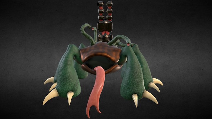 Tortoise Hydra 3D Model