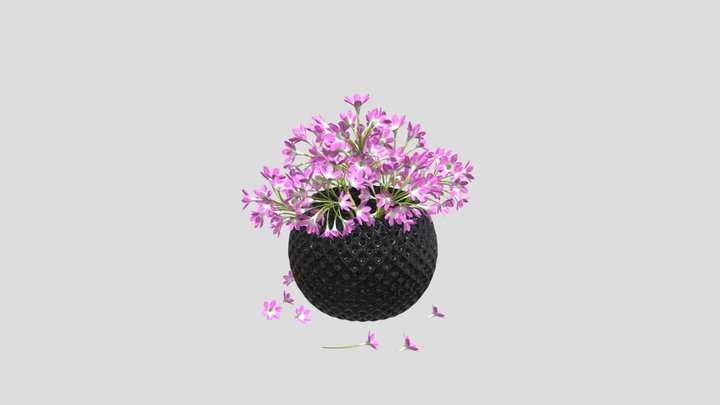 Pink Flower