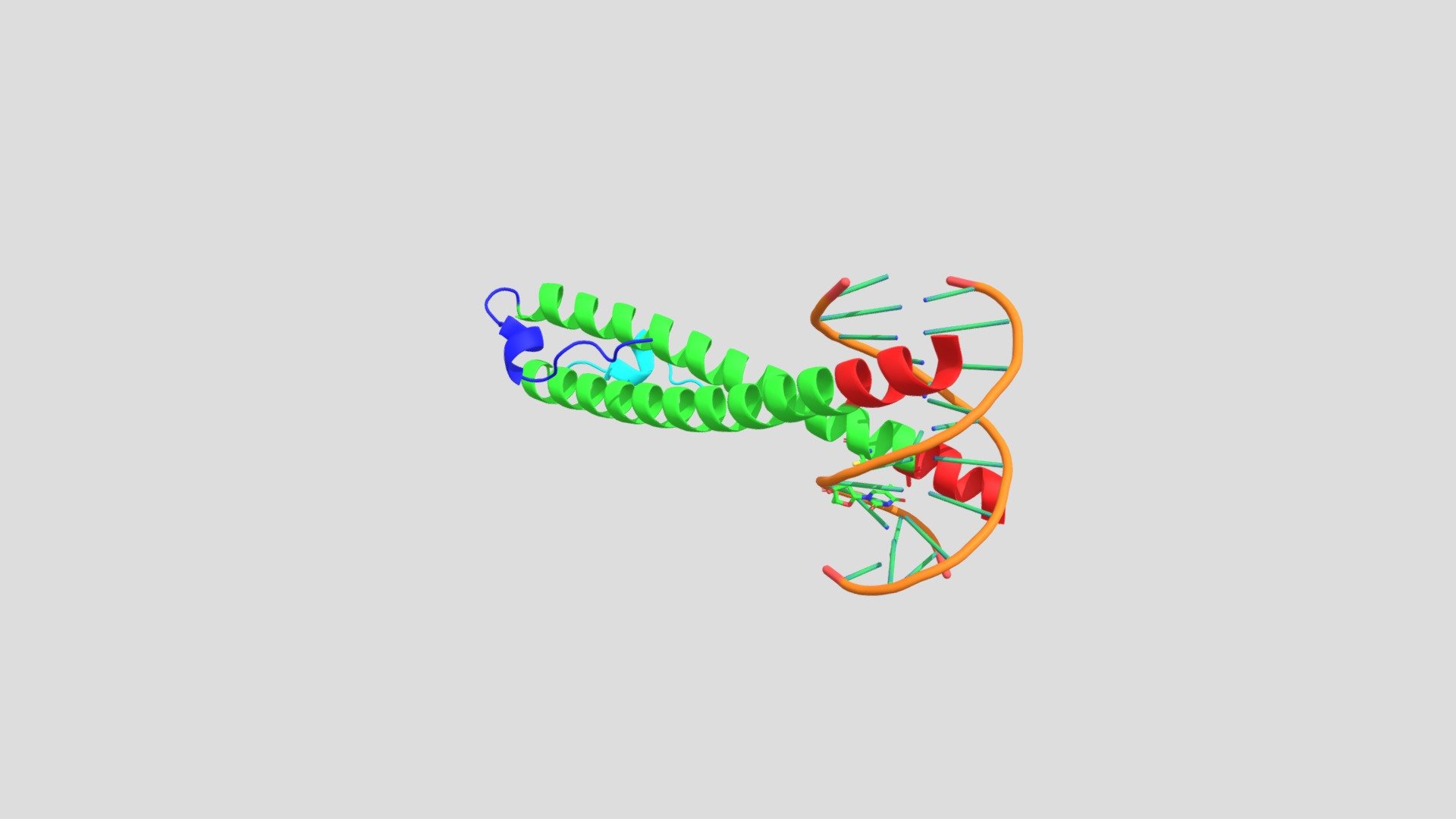 Zebra DNA Binding protein