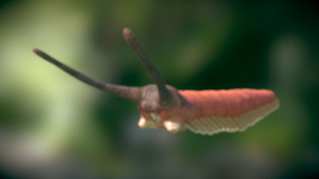 Onicóforo - 3D model by MAter4 (@Evan1527) [7538759] - Sketchfab