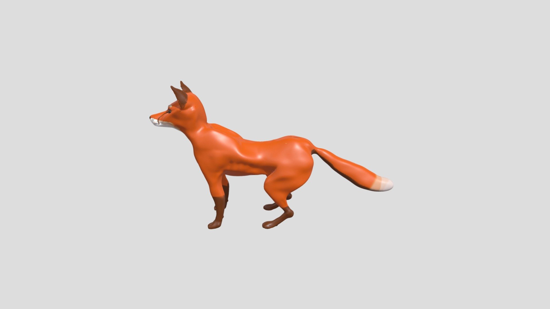 Practice Fox