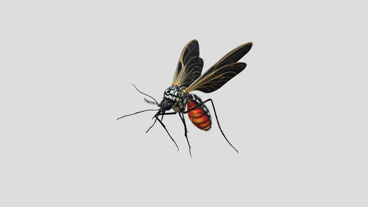 mosquito – Modelo 3D gratuito STL