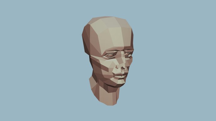 faceplanes 3D Model