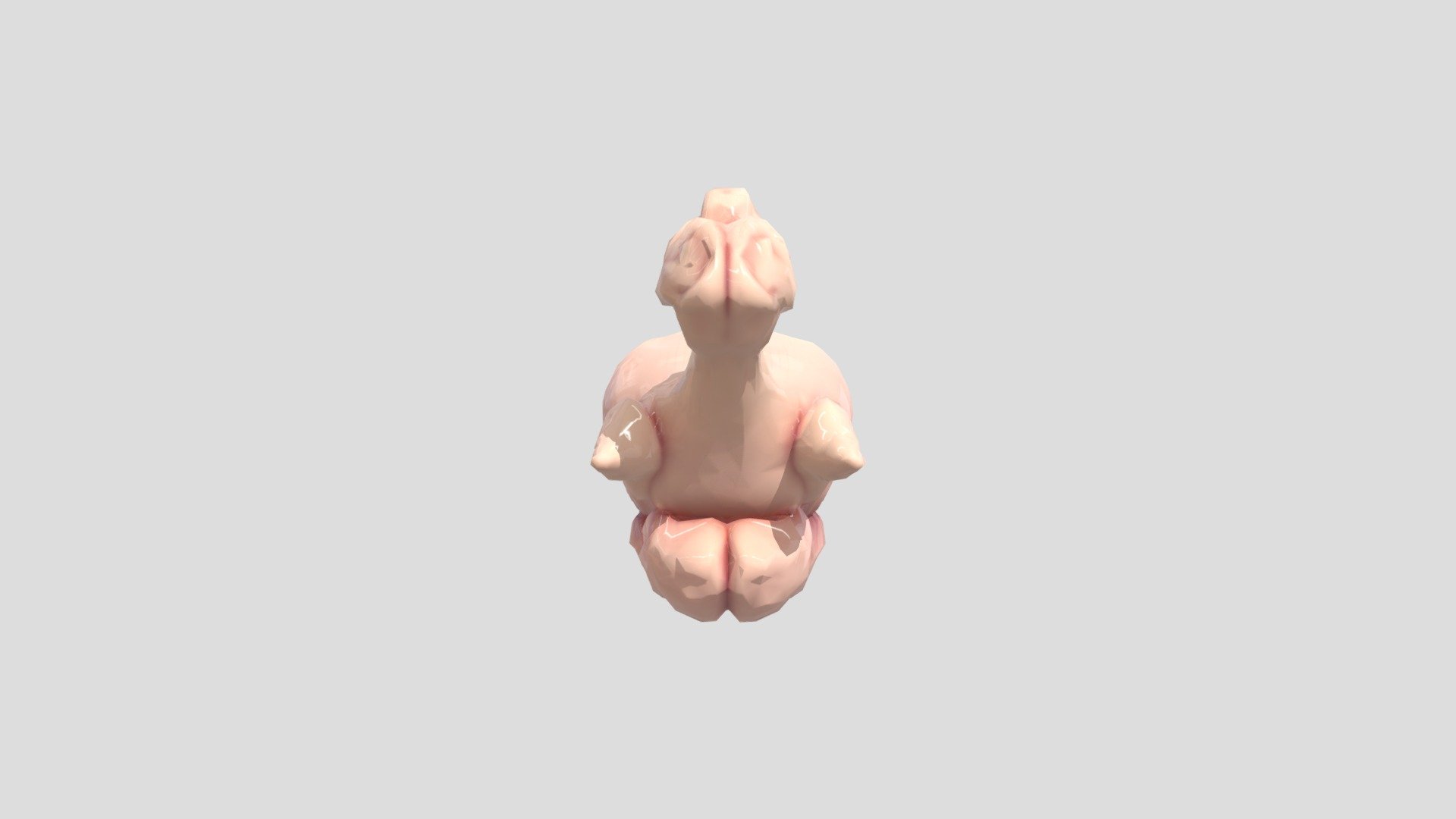 Raw chicken - 3D model by utkubagdas [7542077] - Sketchfab