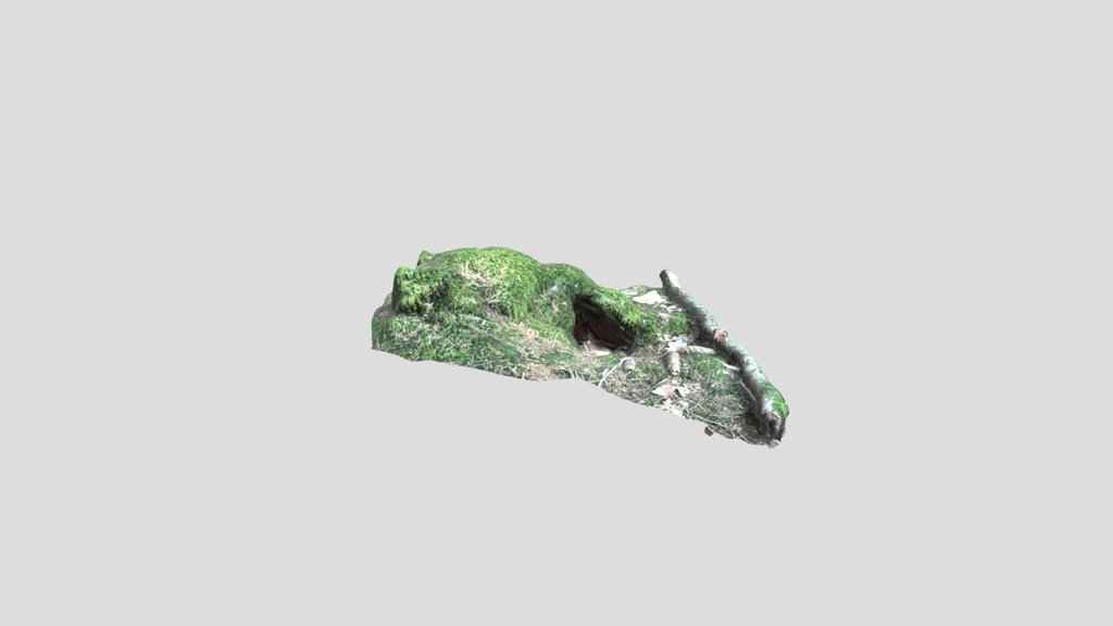 Burrow Hole 3d Scanned