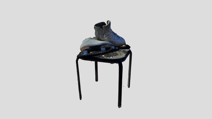 Skates 3D Model