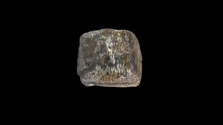 Elasmosaur Vertebrae 3D Model