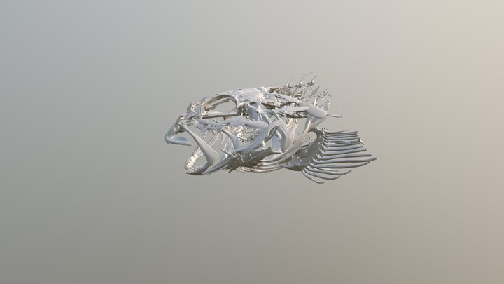 OSU FW316 Lab 14 Supplemental 3D Model