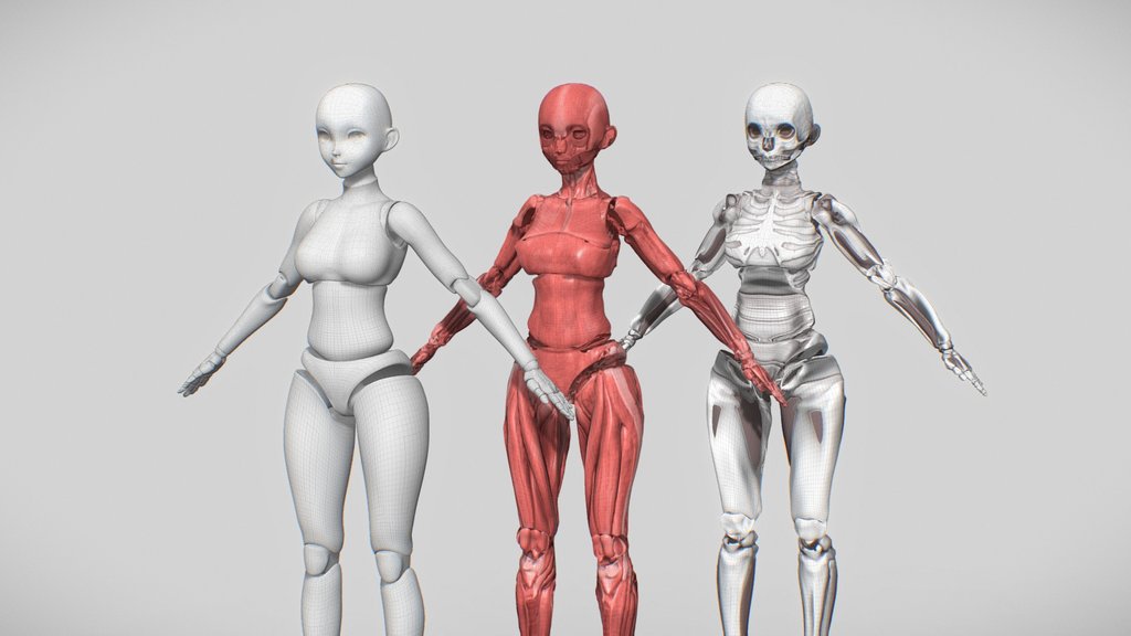 Body improve, Palm, Feet, Bone, Muscle of BJD