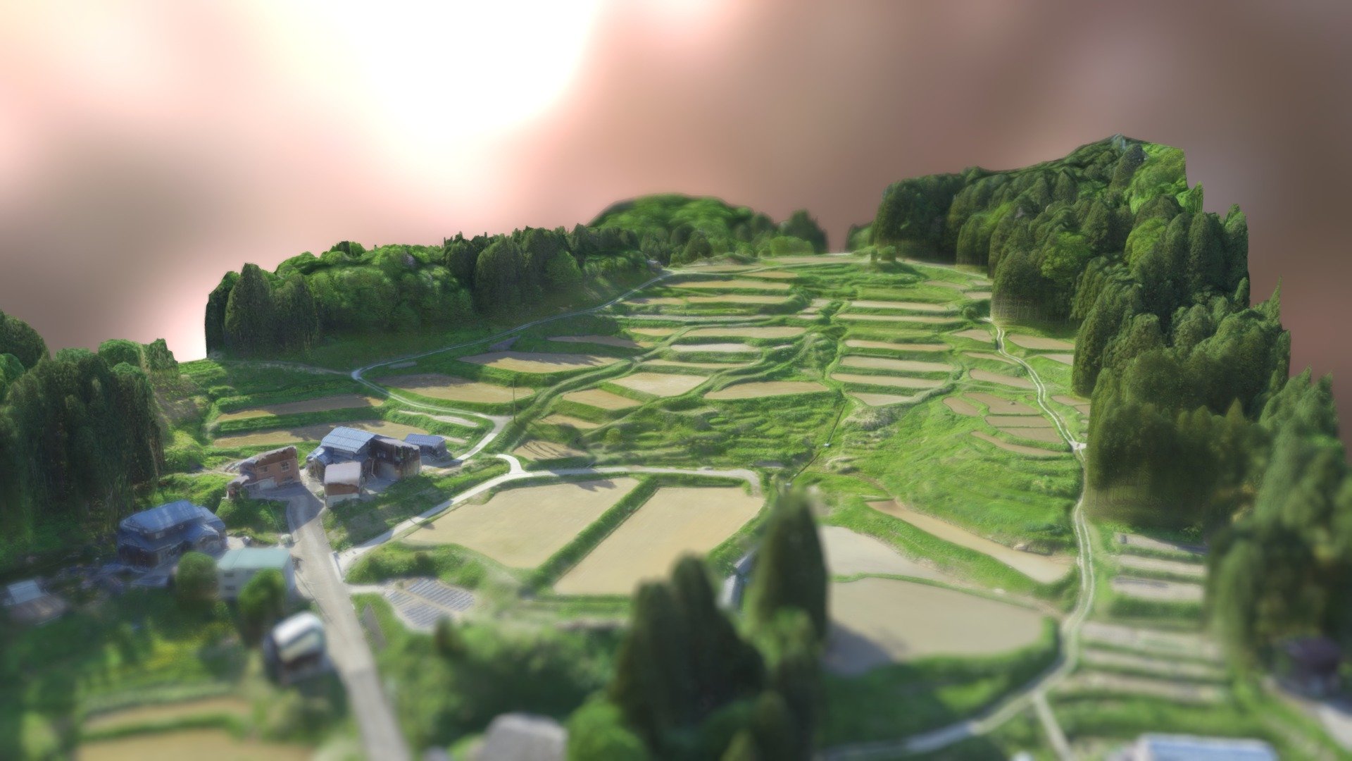 北五百川の棚田
