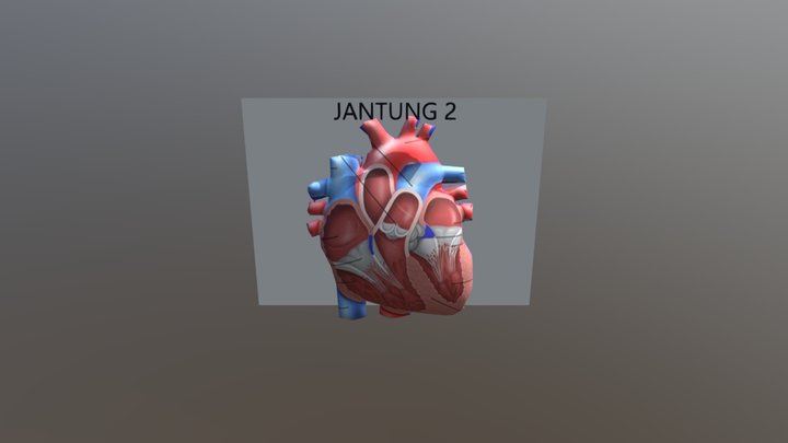 JANTUNG2 3D Model