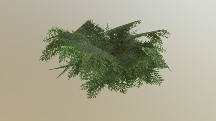 Fern Bush 3D Model