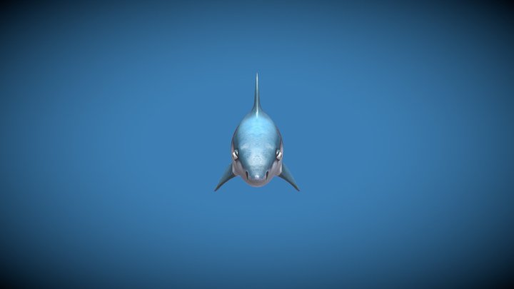 stylized shark 3D Model