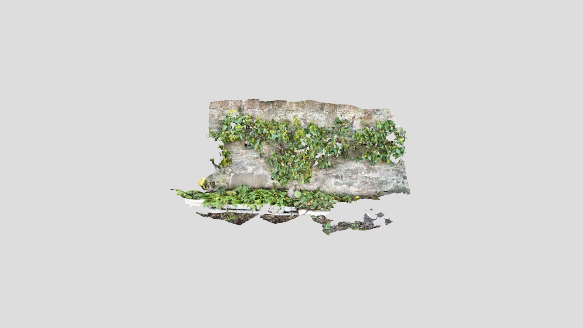 鸟窝