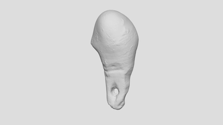 Exp. 28 Perforated 3D Model