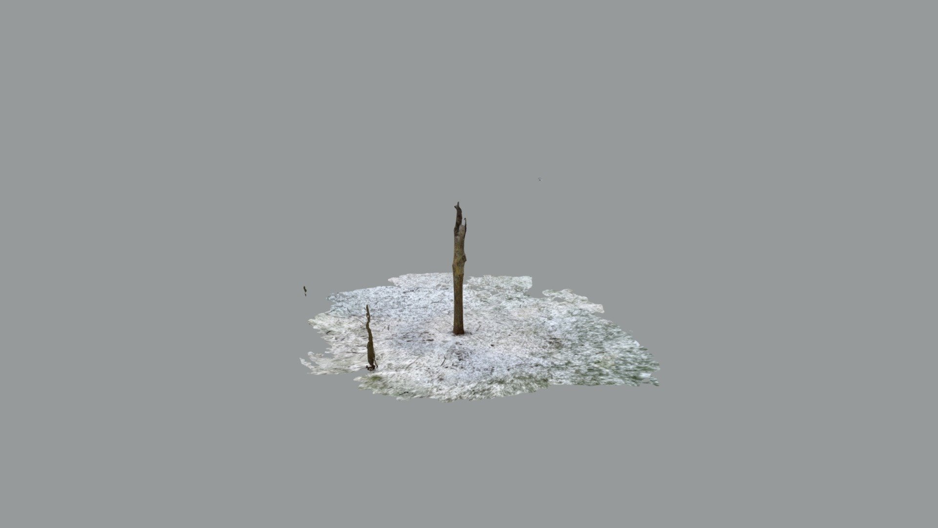 Lone tree in snow - feat. skole