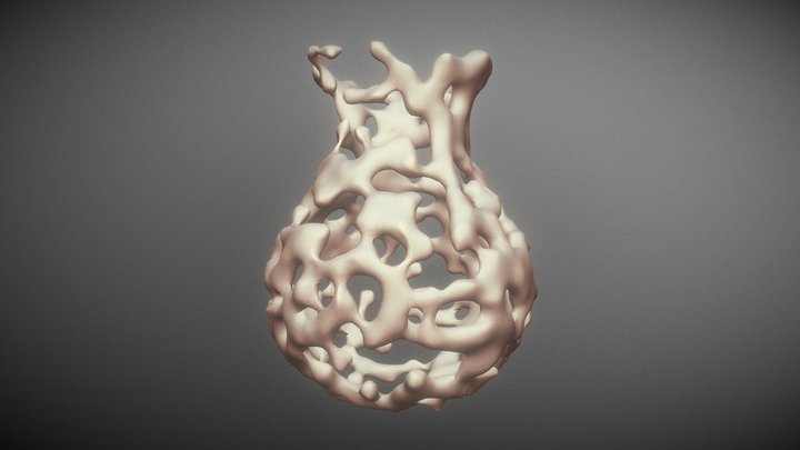 EVA - Evolutive Vase Algorithm 3D Model