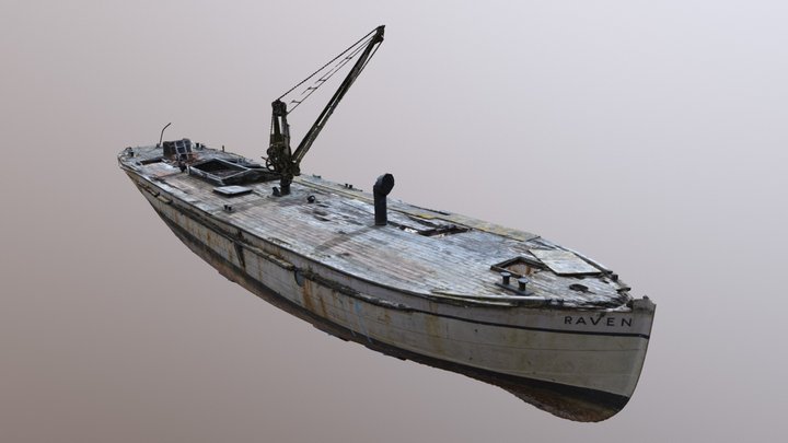 Raven at Windermere Jetty, Cumbria, UK 3D Model