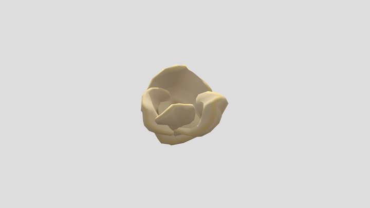 popcorn_2 3D Model