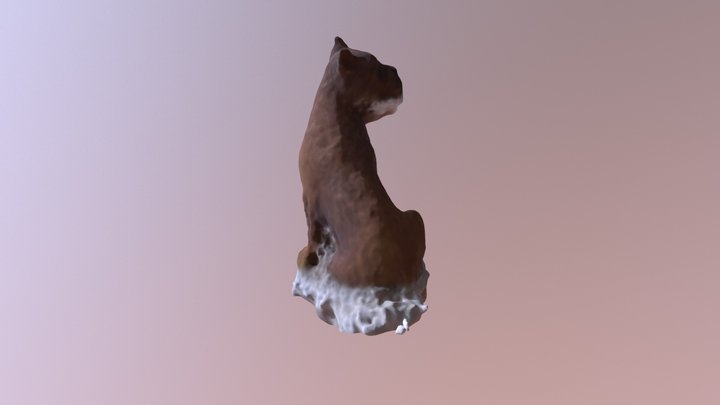 Whitepaw Phogrametry Test 3D Model