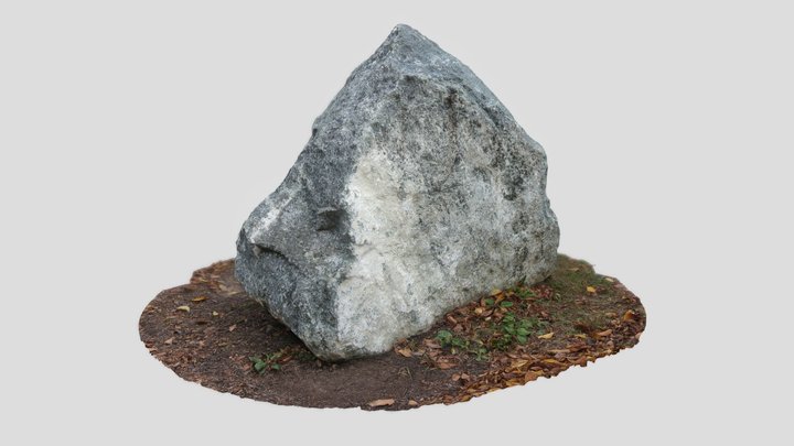 Granite Boulder 3D Model