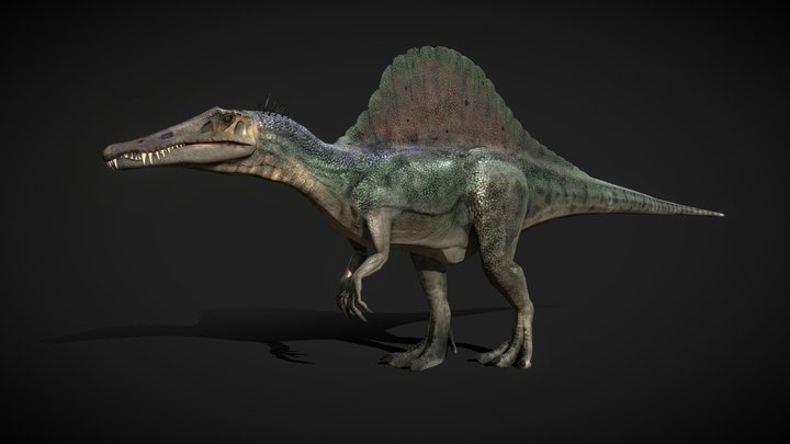 Spinosaurus LowPoly 3D Model